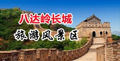 想干小山雀啪啪啪视频的网站中国北京-八达岭长城旅游风景区